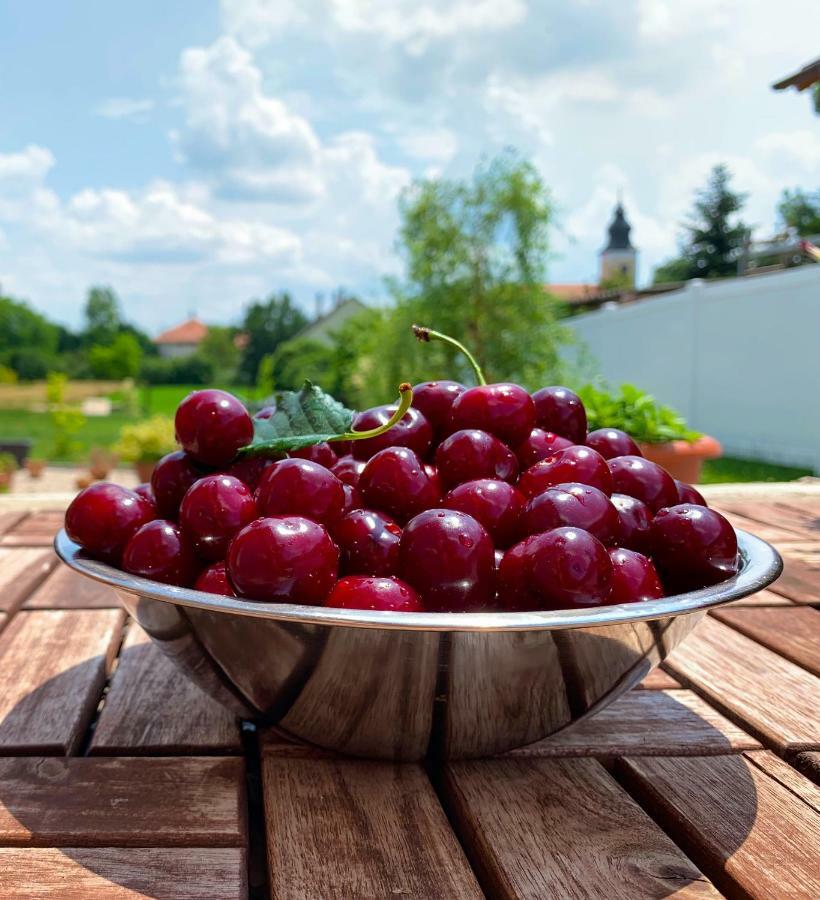 Szep Napot Vendeghaz Gasthof Tordas